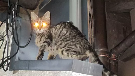 高雄監視器系統推薦